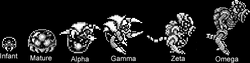Metroid Life Cycle