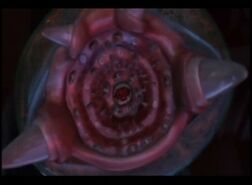 Boca de un Metroid