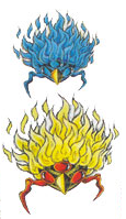 Novas