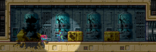 MF Quarantine Bay