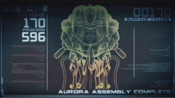 Aurora