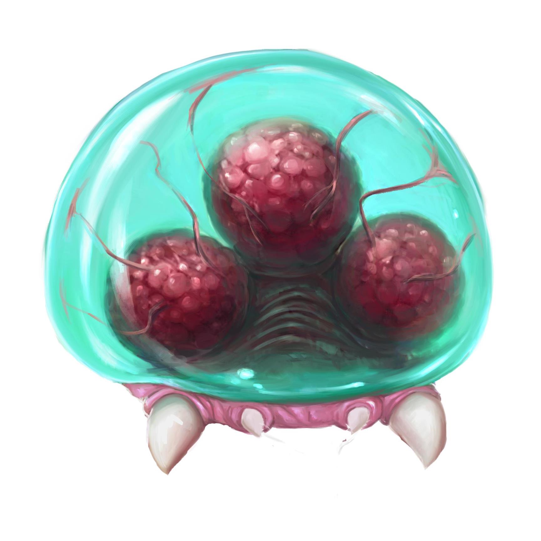 Infant Metroid | Wikitroid | FANDOM powered by Wikia