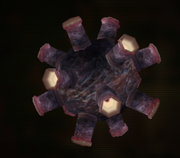 Dark Preed1