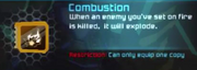 Combustion
