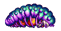 Larva Gigante MZM