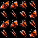 Textura Mariposas DKCR