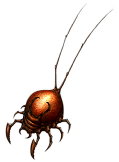 Burrower