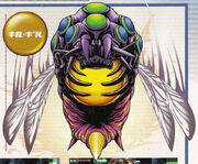 Kirugiru final