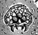 Original Metroid