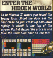 Secret World insert