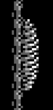 PlantM2