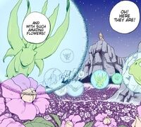 Vol2 page41