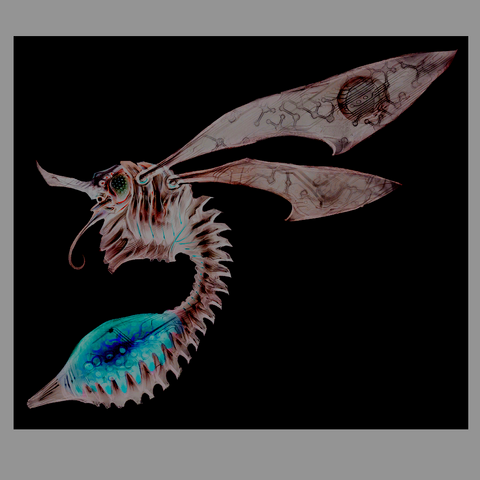 File:Chykka adult.png