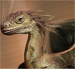 Dragon1
