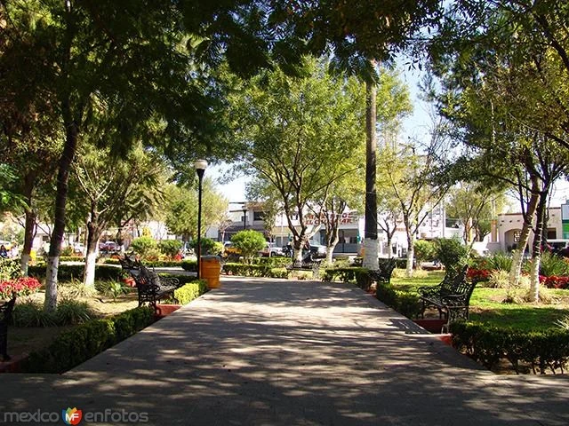 Apodaca Méxicoteca FANDOM powered by Wikia