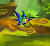 Colibri