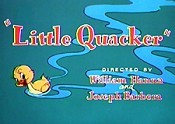 Littlequacker