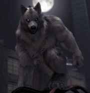 Werewolf-werewolves-7315437-689-707