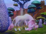 081