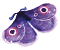 Char butterfly 1