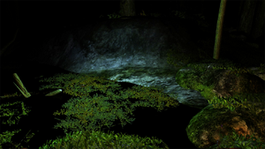 Bio-luminescent algae at night