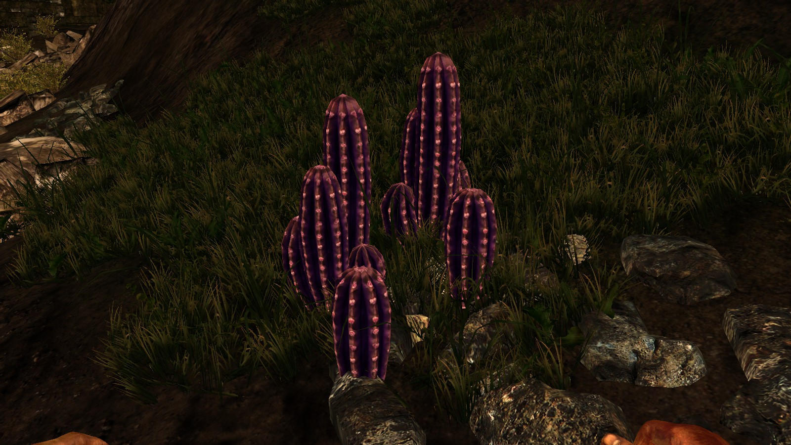 Image - Violet cactus.jpg - Miasmata Wiki - FANDOM powered by Wikia