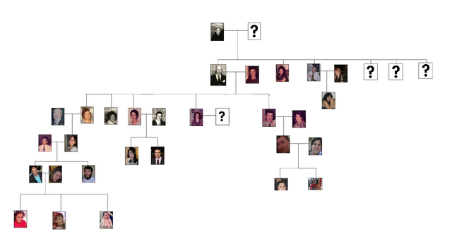 Archivo:6543qasm .png