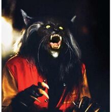 Michael Jackson S Thriller Michael Jackson Wiki Fandom
