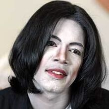 Man In The Mirror The Michael Jackson Story Michael Jackson Wiki Fandom