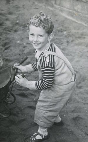 File:Kidrosen.jpg
