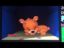 Bear Dog House