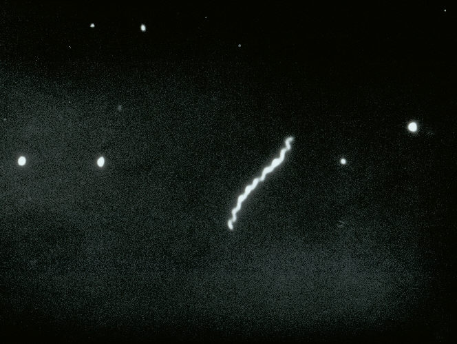 dark field microscopy