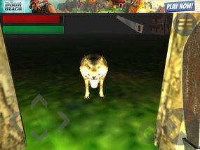 Imagewolf