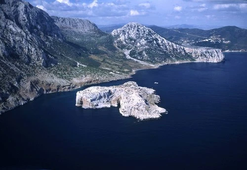 Imagen Isla de Perejil.jpg Wiki Micronaciones FANDOM powered by Wikia