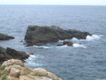 Landscape of Koya