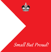 5th Infantrie Companie Flag