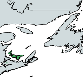 Brian Boru Map