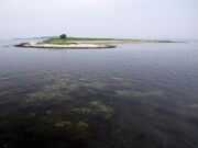 LarusiaView