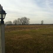 Field