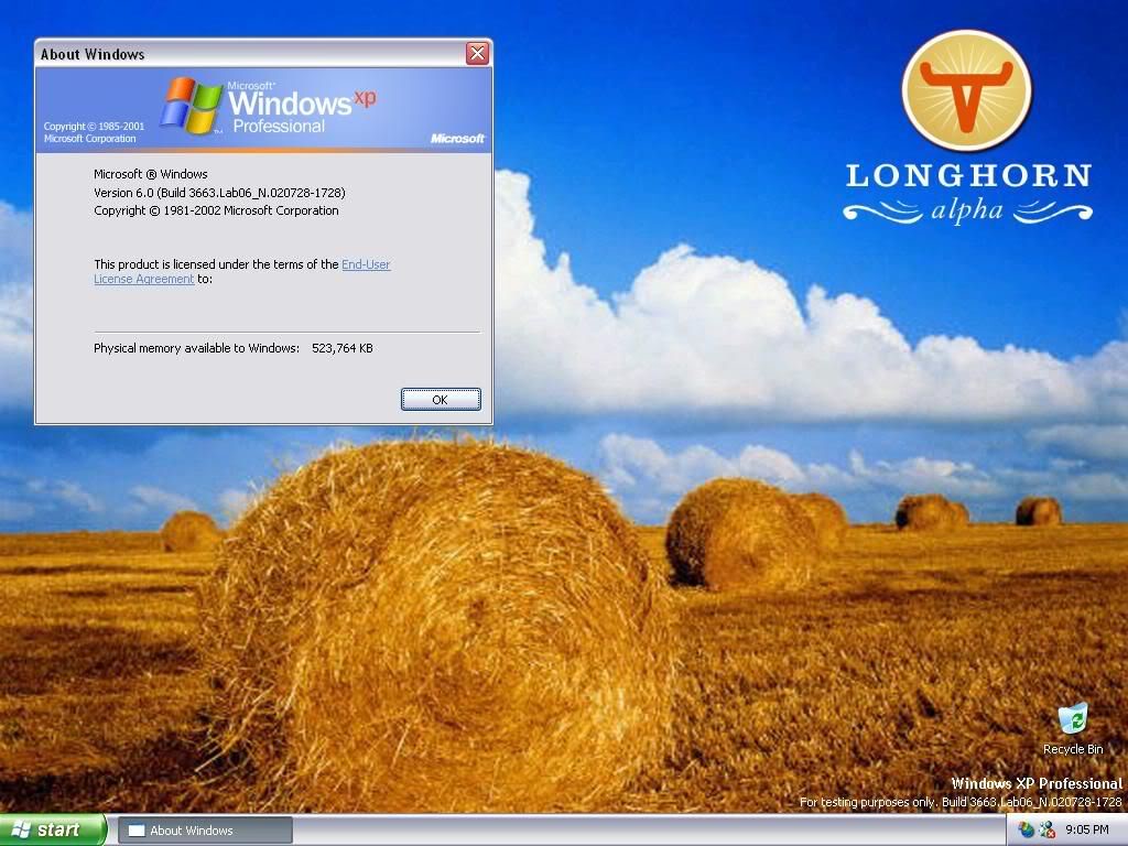 Windows longhorn что это