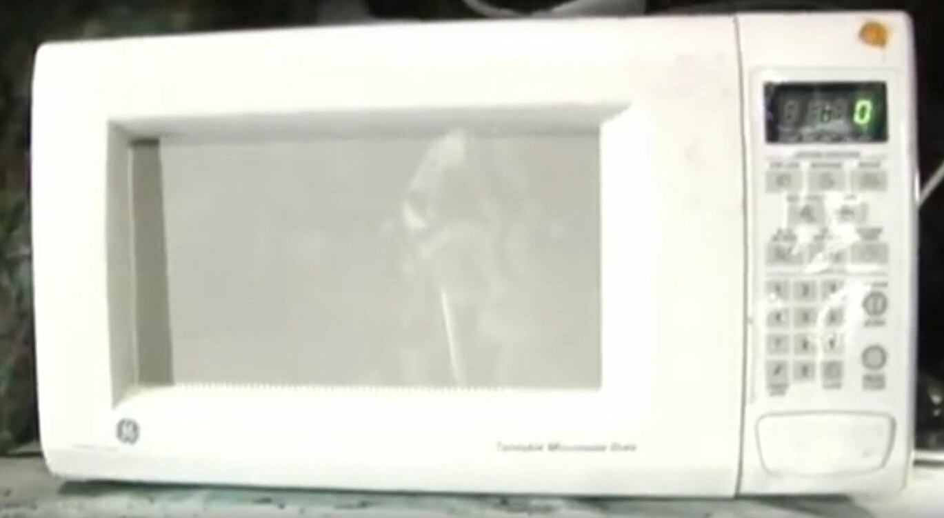 Jackie Is It A Good Idea To Microwave This? Wiki Fandom