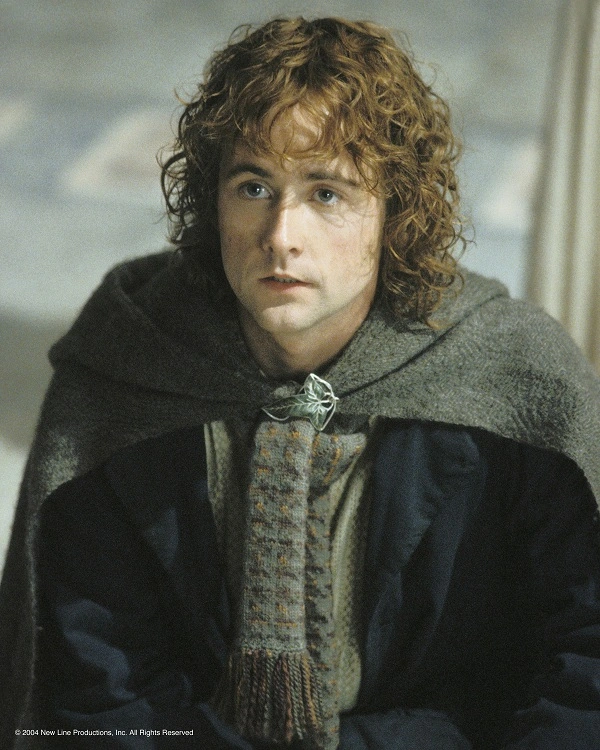Pippin Took Middle Earth Film Saga Wikia Fandom
