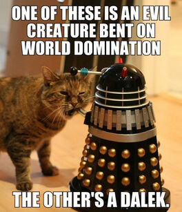 Funny-cat-Dalek-Dr-Who-world-domination