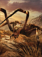 Creatures-spider-a28c62cb90