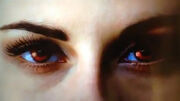 802364-twlight-breaking-dawn-part-2
