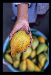 ArchivoPouteria lucuma1