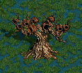 DragonFlyHiveIII