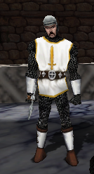 Crusader image