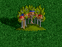 TreeCity