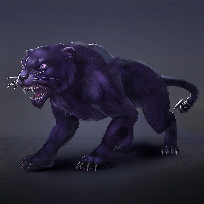 Shadow Of The Panther Shadow Of The Panther